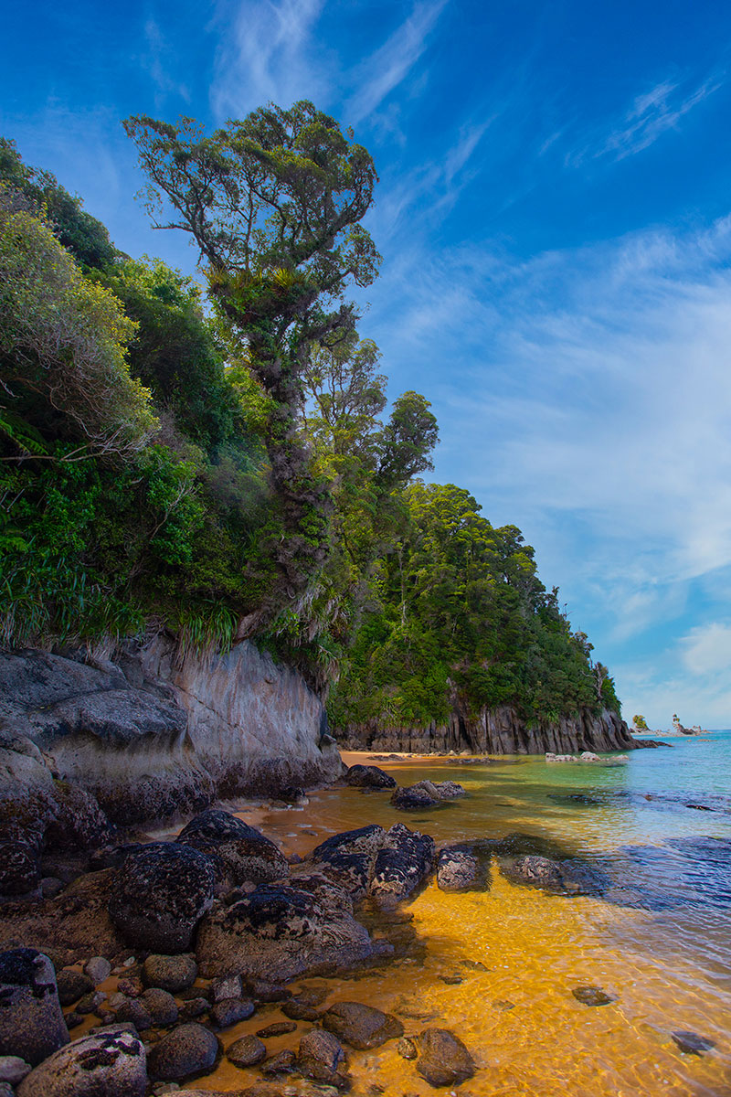 Discover NZ Motorhome Bliss